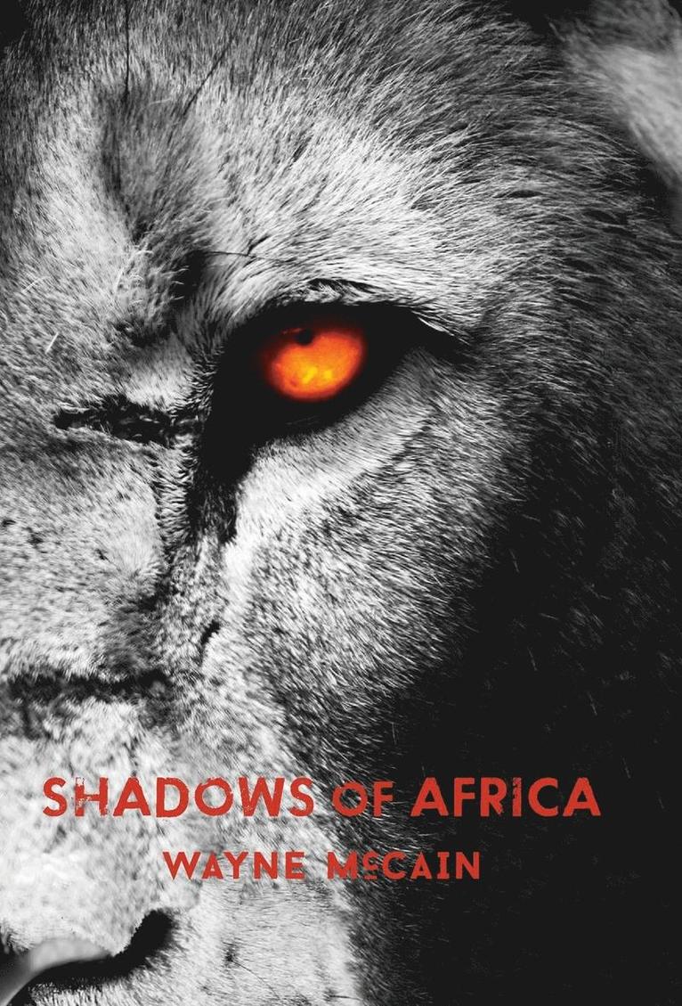 Shadows of Africa 1