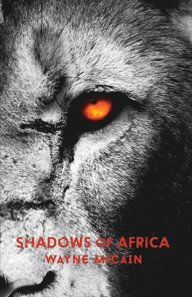 bokomslag Shadows of Africa