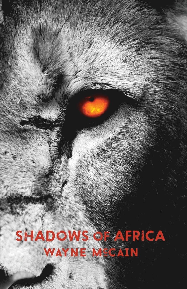 Shadows of Africa 1