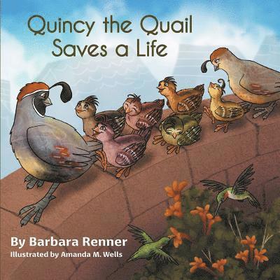 Quincy the Quail Saves a Life 1