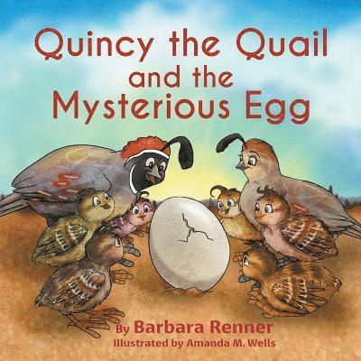 Quincy the Quail and the Mysterious Egg 1