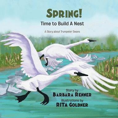 bokomslag SPRING! Time to Build a Nest, A Story about Trumpeter Swans