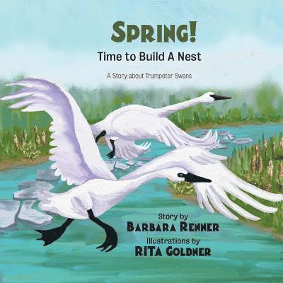 SPRING! Time to Build a Nest, A Story about Trumpeter Swans 1