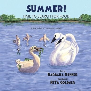 bokomslag Summer! Time to Search for Food, A Story about Trumpeter Swans