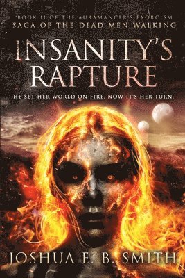 bokomslag Insanity's Rapture