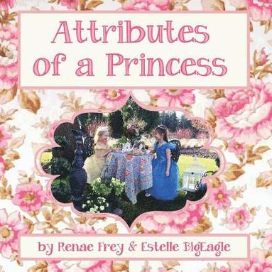 bokomslag Attributes Of A Princess