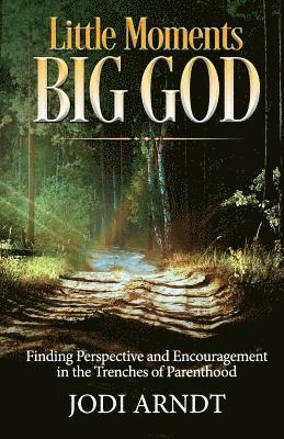 bokomslag Little Moments Big God: Finding Perspective and Encouragement in the Trenches of Parenthood