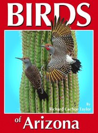 bokomslag Birds of Arizona