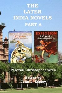 bokomslag The Later India Novels Part A
