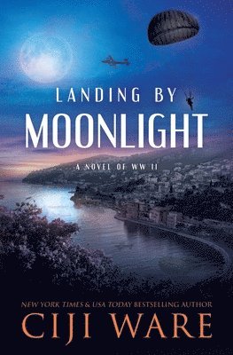 Landing by Moonlight 1
