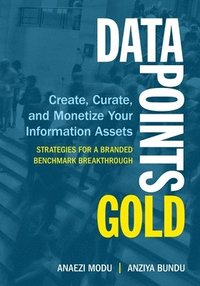 bokomslag Data Points Gold: Create, Curate, and Monetize Your Information Assets