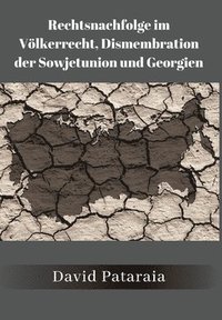 bokomslag Rechtsnachfolge im Vlkerrecht, Dismembration der Sowjetunion und Georgien