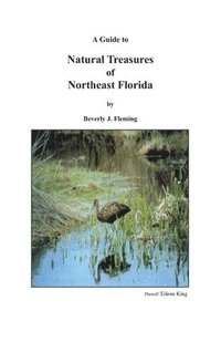 bokomslag A Guide to Natural Treasures of Northeast Florida