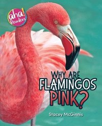 bokomslag Why Are Flamingos Pink?