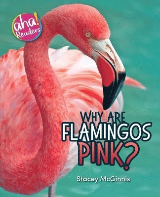 Why Are Flamingos Pink? 1