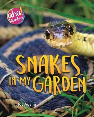 Snakes in My Garden 1