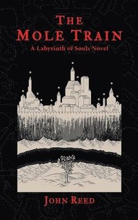 bokomslag The Mole Train: A Labyrinth of Souls Novel