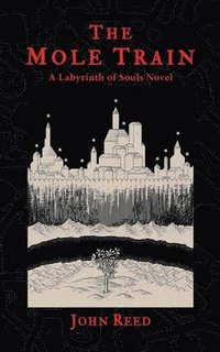 bokomslag The Mole Train: A Labyrinth of Souls Novel