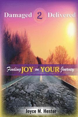bokomslag Damaged2Delivered: Finding Joy on the Journey