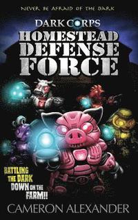 bokomslag Homestead Defense Force