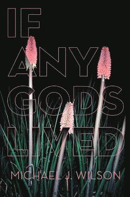 Michael J Wilson - If Any Gods Lived, Häftad