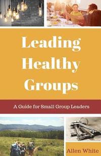 bokomslag Leading Healthy Groups