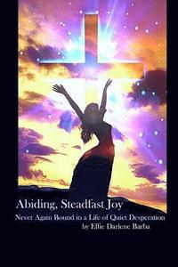 bokomslag Abiding, Steadfast Joy: Never Again Bound in a Life of Quiet Desperation