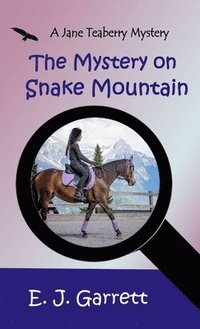bokomslag The Mystery on Snake Mountain