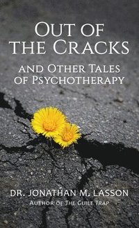 bokomslag Out of the Cracks and Other Tales of Psychotherapy