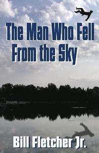 bokomslag The Man Who Fell From the Sky