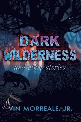 bokomslag Dark Wilderness