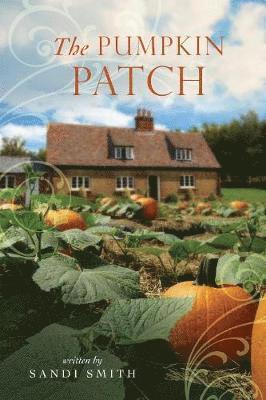 Pumpkin Patch