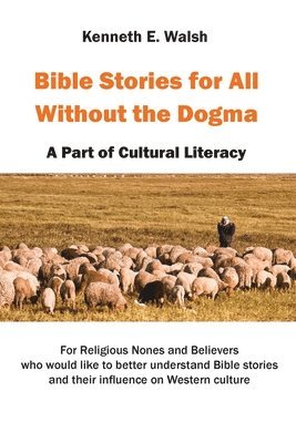 bokomslag Bible Stories For All Without the Dogma: A Part of Cultural Literacy