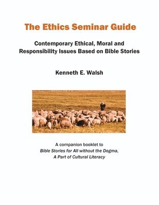 bokomslag Ethics Seminar Guide