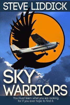 Sky Warriors 1