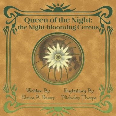 bokomslag Queen of the Night