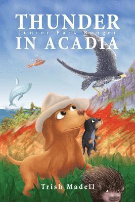 Thunder in Acadia: Junior Park Ranger 1