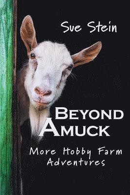 Beyond Amuck 1