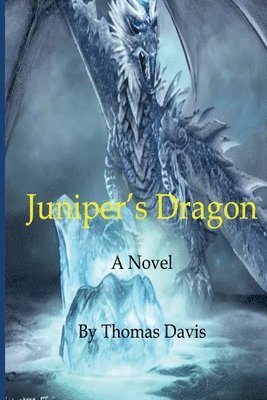 bokomslag Juniper's Dragon