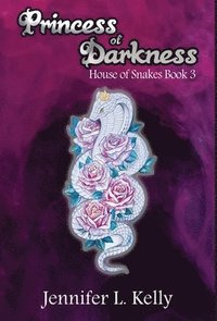 bokomslag Princess of Darkness
