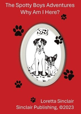 bokomslag Spotty Boys Adventures