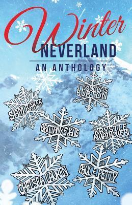 bokomslag Winter Neverland