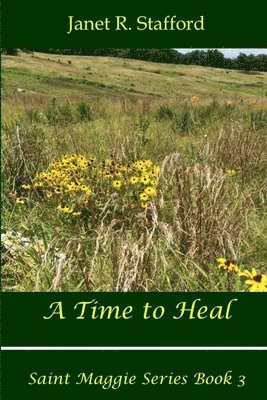 bokomslag Time to Heal