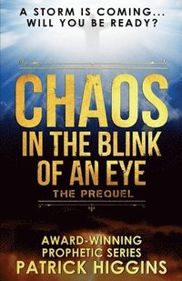 bokomslag Chaos In The Blink Of An Eye