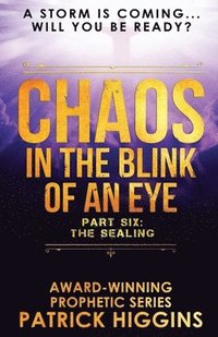 bokomslag Chaos In The Blink Of An Eye