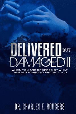 Charles E. Rodgers - Delivered But Damaged II, Häftad