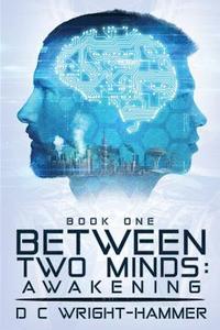 bokomslag Between Two Minds