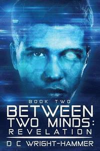 bokomslag Between Two Minds