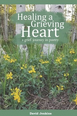 David Jenkins - Healing a Grieving Heart, Häftad