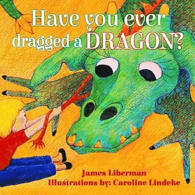 bokomslag Have You Ever Dragged a Dragon?